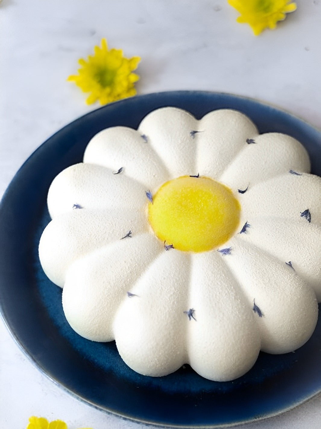 Entremets Paquerette