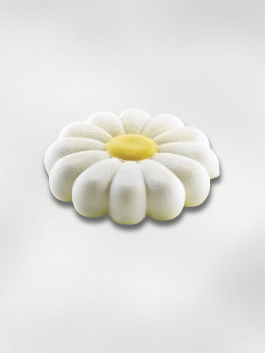 Entremets Paquerette